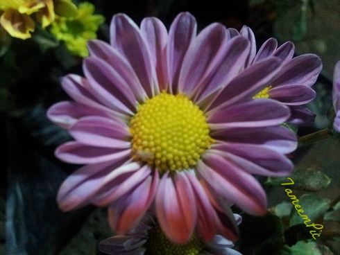 20131205_201634.jpg Hosting at Sudaneseonline.com