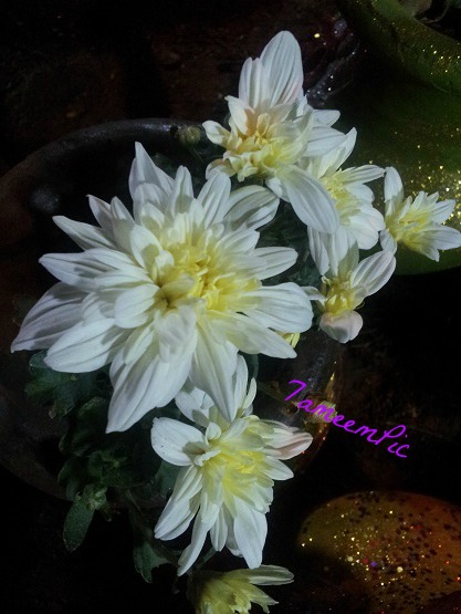 20131205_201808.jpg Hosting at Sudaneseonline.com