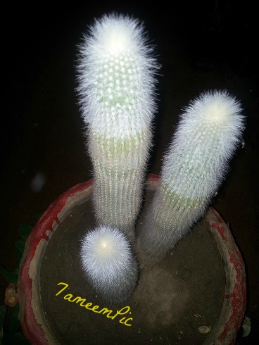 20131205_202438.jpg Hosting at Sudaneseonline.com