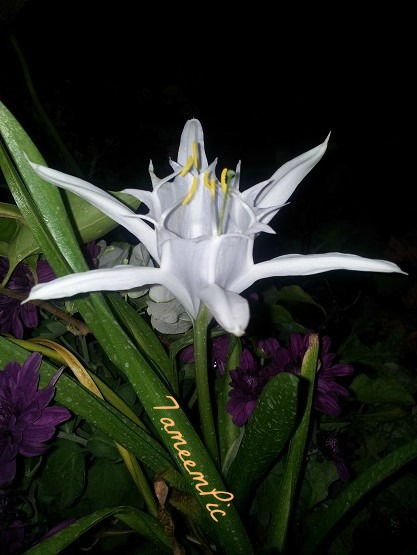 20131205_203020.jpg Hosting at Sudaneseonline.com