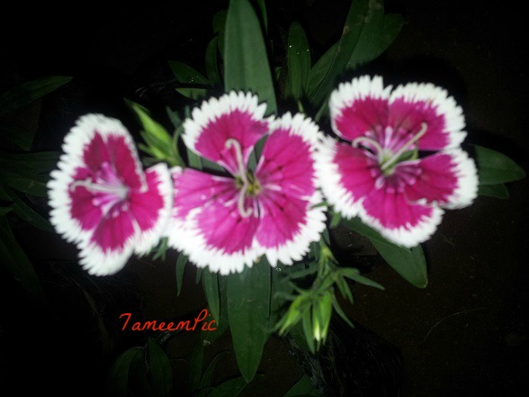 20131205_203341.jpg Hosting at Sudaneseonline.com