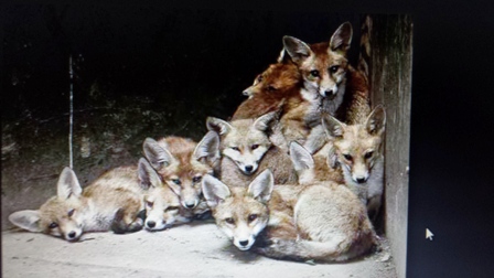 20141222_121427.jpg Hosting at Sudaneseonline.com