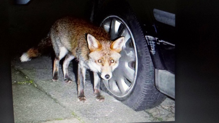 20141222_6.jpg Hosting at Sudaneseonline.com