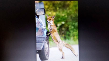 20141222_7.jpg Hosting at Sudaneseonline.com