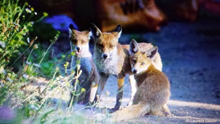 20141222_8.jpg Hosting at Sudaneseonline.com