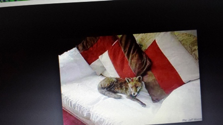 20141222_9.jpg Hosting at Sudaneseonline.com