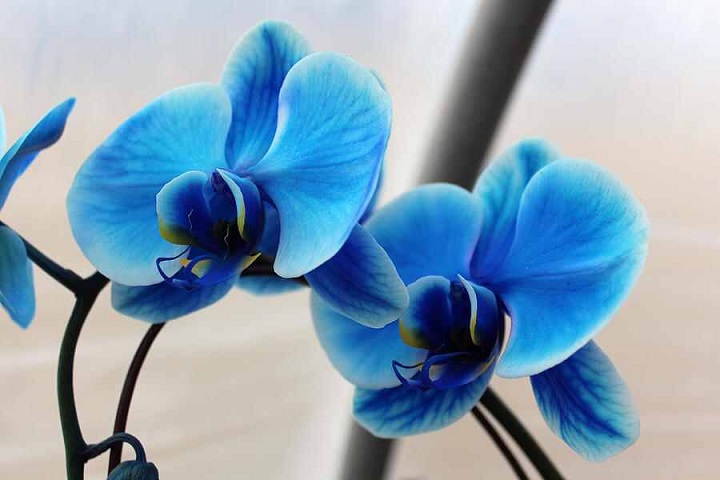 2015-02-1.jpg Hosting at Sudaneseonline.com