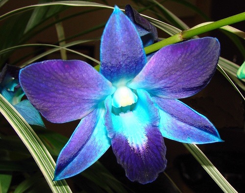 2015-02-2618.46.57.jpg Hosting at Sudaneseonline.com