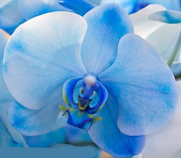 2015-02-2618.47.02.jpg Hosting at Sudaneseonline.com