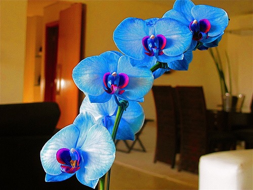 2015-02-2618.47.28.jpg Hosting at Sudaneseonline.com