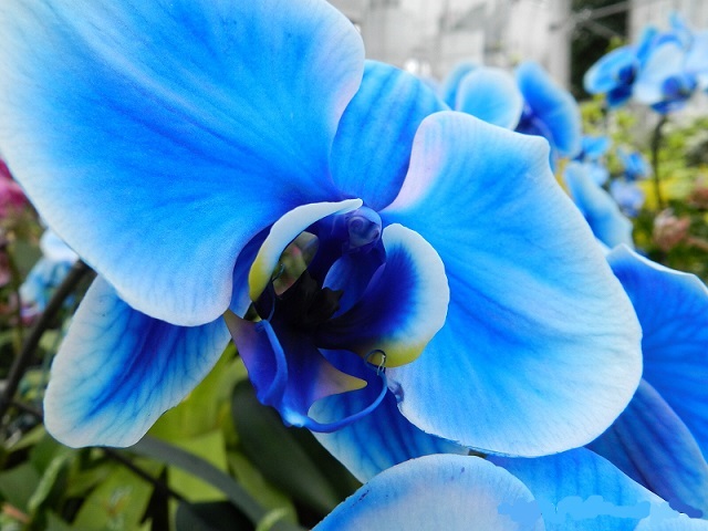 2015-02-2618.49.06.jpg Hosting at Sudaneseonline.com