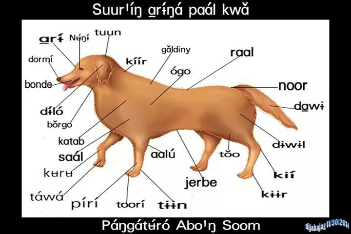 811117783_52223.jpg Hosting at Sudaneseonline.com