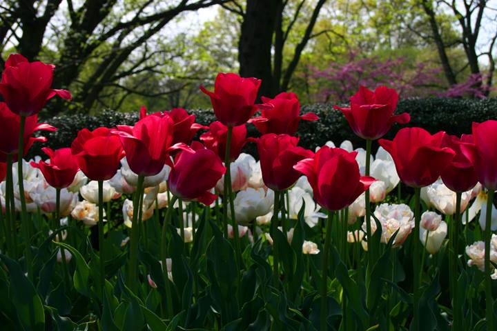 88.jpg Hosting at Sudaneseonline.com