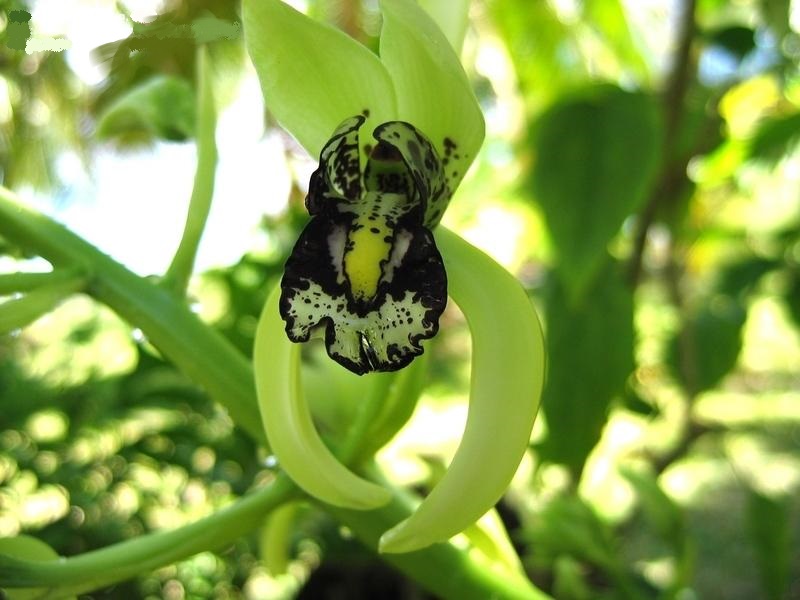 9cd401.jpg Hosting at Sudaneseonline.com