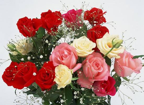 AbdoKhalconculsion.jpg Hosting at Sudaneseonline.com