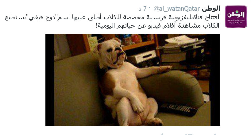 Fullscreencapture123201415642PM.jpg Hosting at Sudaneseonline.com