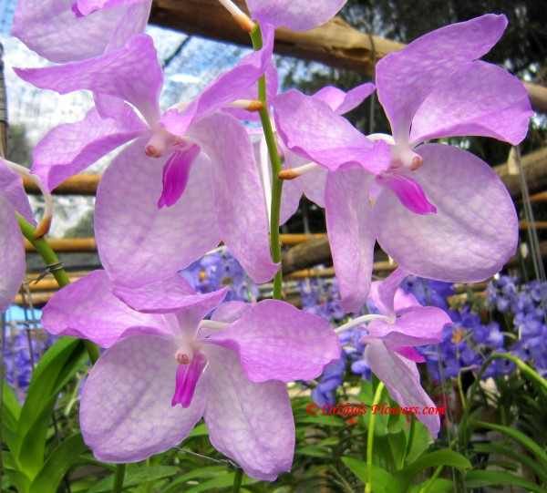 IMG-20130701-WA0026.jpg Hosting at Sudaneseonline.com