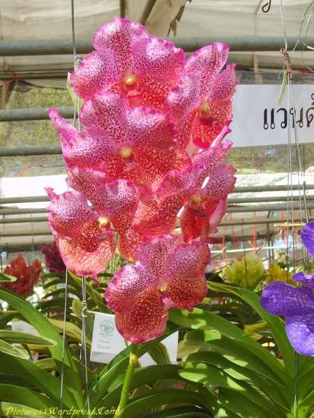 IMG-20130701-WA0027.jpg Hosting at Sudaneseonline.com