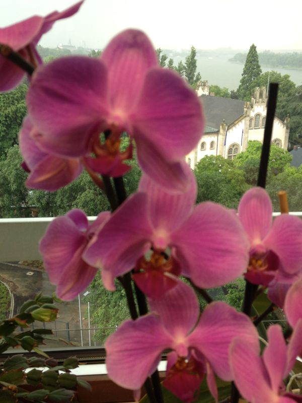 IMG-20130701-WA0054.jpg Hosting at Sudaneseonline.com