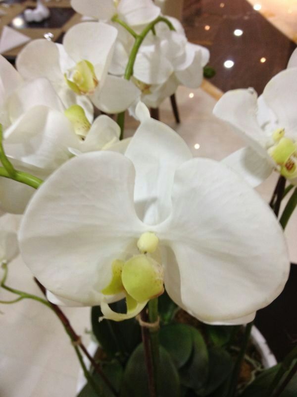 IMG-20130930-WA0012.jpg Hosting at Sudaneseonline.com