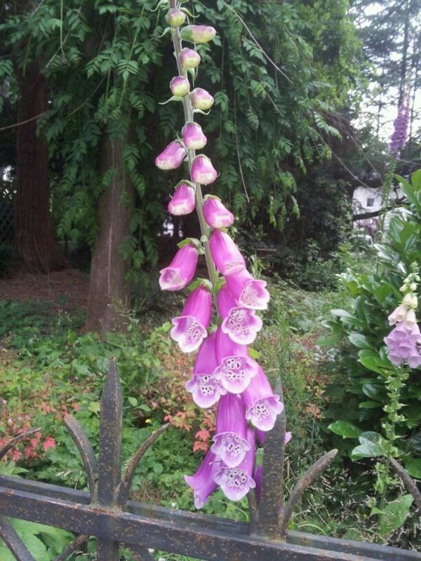 IMG-20130930-WA0013.jpg Hosting at Sudaneseonline.com