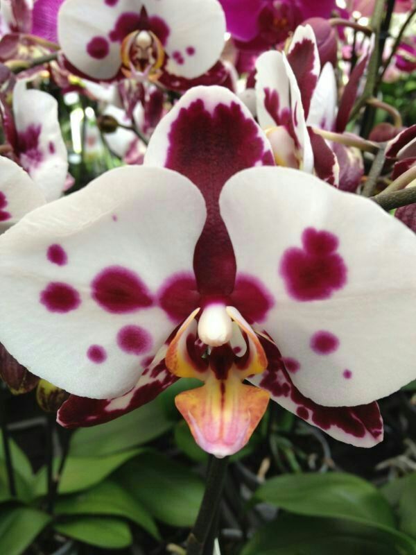 IMG-20130930-WA0017.jpg Hosting at Sudaneseonline.com