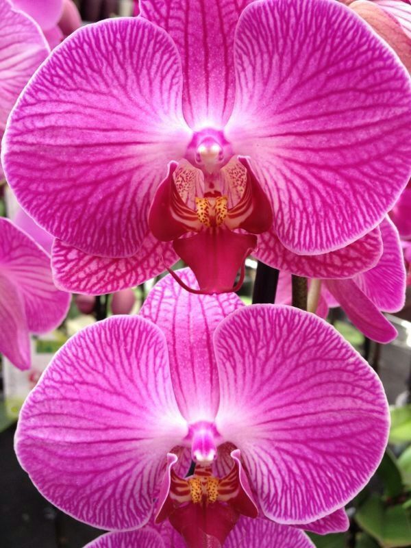 IMG-20130930-WA0023.jpg Hosting at Sudaneseonline.com