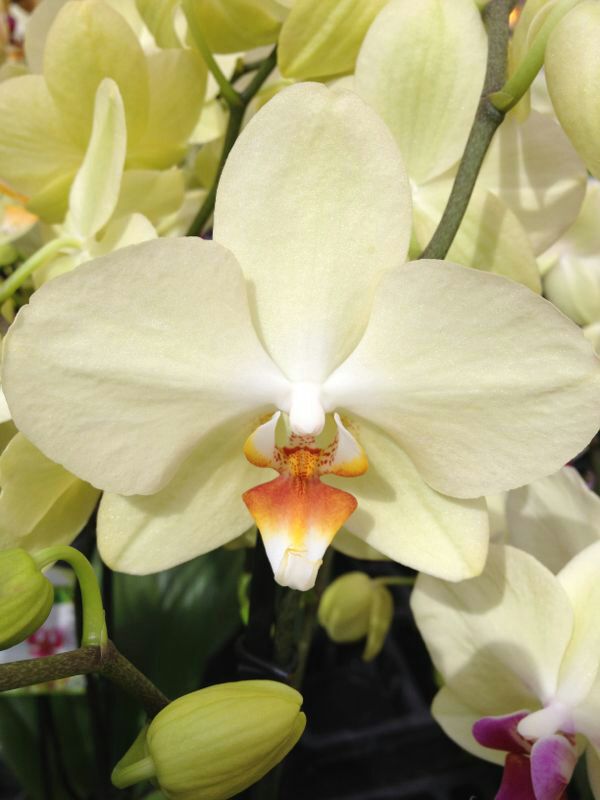 IMG-20130930-WA0031.jpg Hosting at Sudaneseonline.com