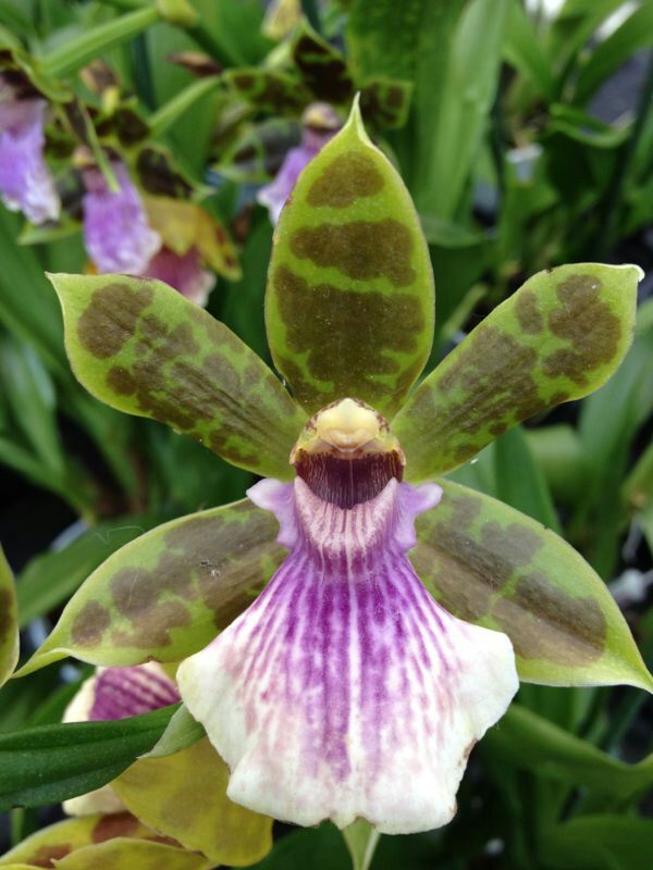 IMG-20130930-WA0033.jpg Hosting at Sudaneseonline.com