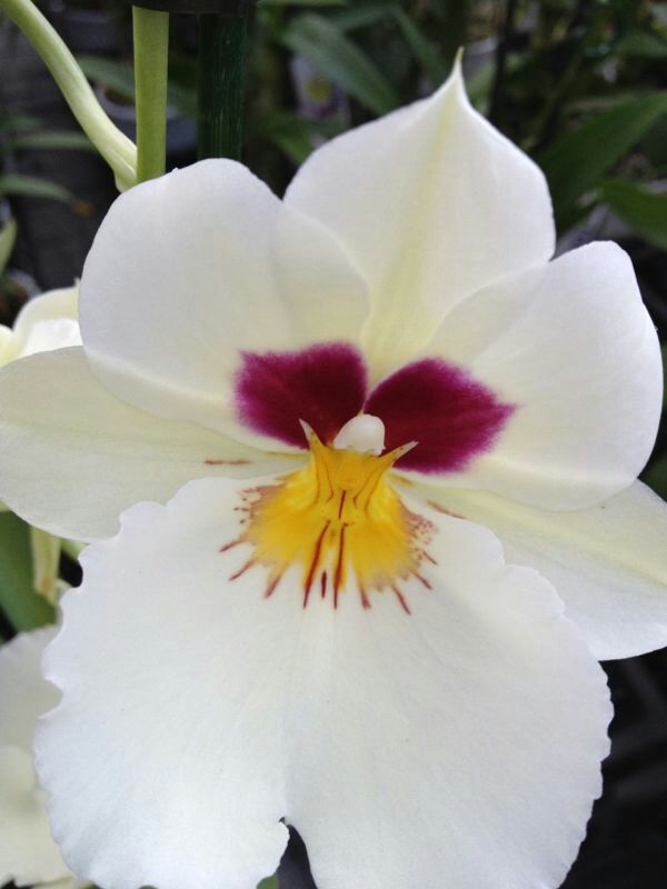 IMG-20130930-WA0036.jpg Hosting at Sudaneseonline.com