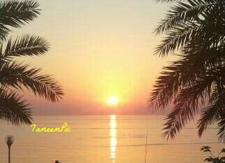 IMG-20131027-WA0008.jpg Hosting at Sudaneseonline.com