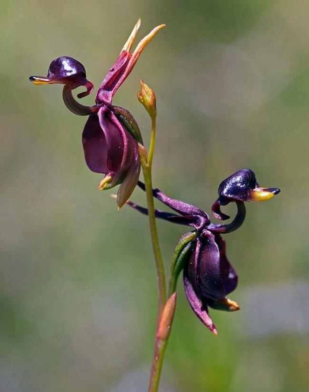 IMG-20131127-WA0022.jpg Hosting at Sudaneseonline.com