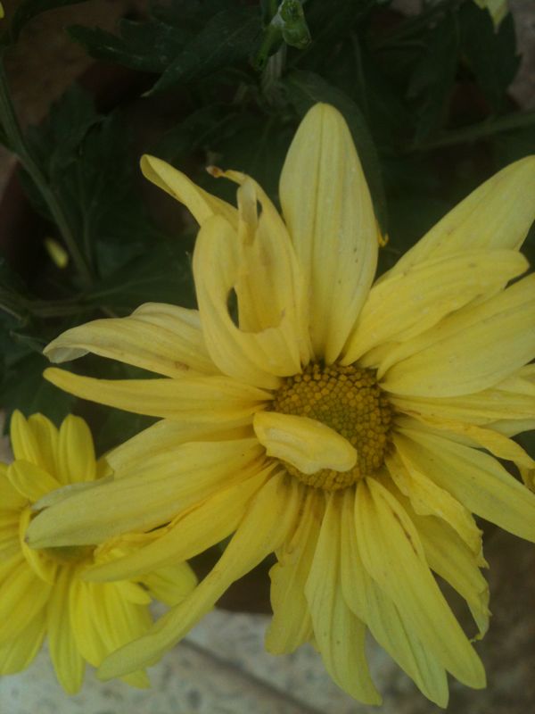 IMG-20131203-WA0008.jpg Hosting at Sudaneseonline.com