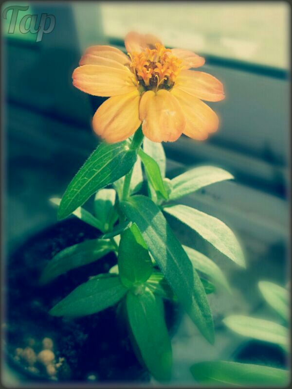 IMG-20131209-WA0010.jpg Hosting at Sudaneseonline.com