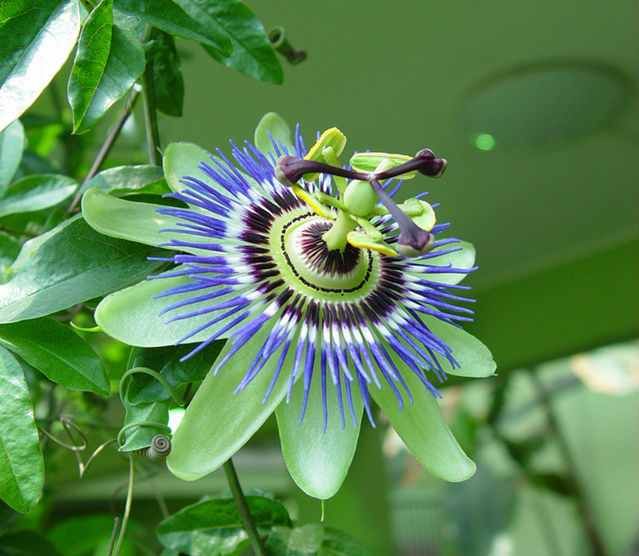 IMG-20131216-WA0015.jpg Hosting at Sudaneseonline.com