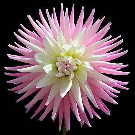 IMG-20131216-WA0029.jpg Hosting at Sudaneseonline.com