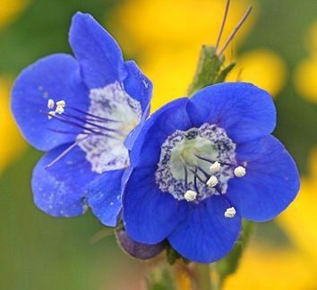 IMG-20140107-WA0009.jpg Hosting at Sudaneseonline.com