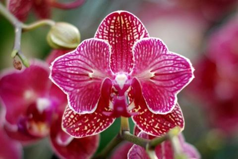 IMG-20140211-WA0013.jpg Hosting at Sudaneseonline.com