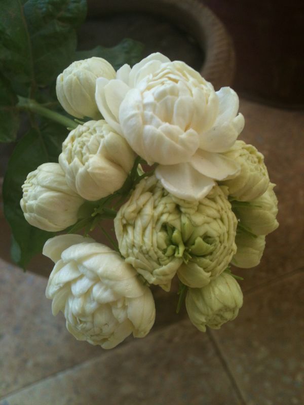 IMG-20140217-WA0006.jpg Hosting at Sudaneseonline.com