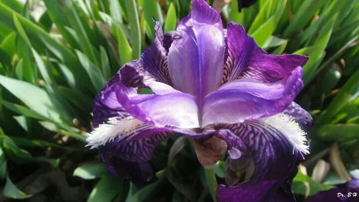 IMG-20140308-WA0003.jpg Hosting at Sudaneseonline.com