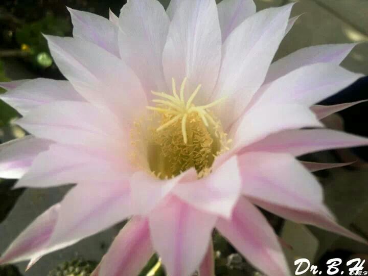 IMG-20140308-WA1.jpg Hosting at Sudaneseonline.com