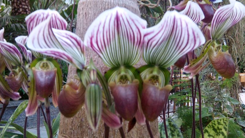 IMG-20140425-WA0002.jpg Hosting at Sudaneseonline.com