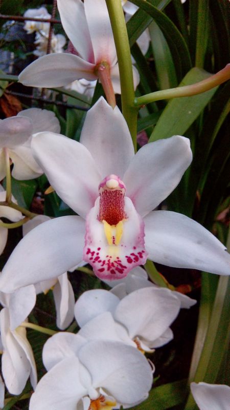 IMG-20140425-WA0006.jpg Hosting at Sudaneseonline.com