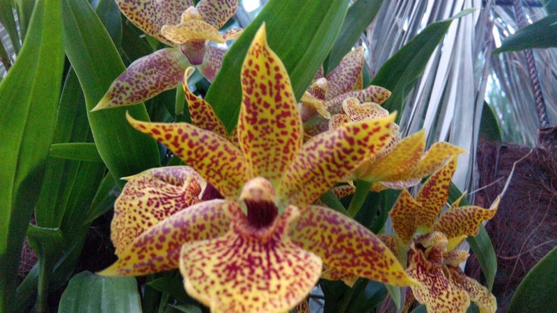 IMG-20140425-WA0011.jpg Hosting at Sudaneseonline.com