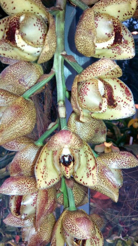 IMG-20140425-WA0033.jpg Hosting at Sudaneseonline.com