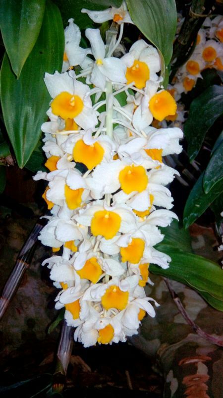 IMG-20140425-WA0044.jpg Hosting at Sudaneseonline.com