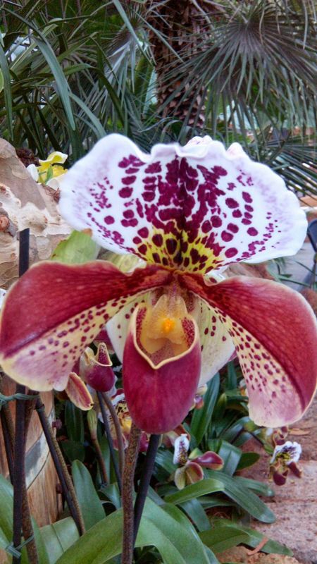 IMG-20140425-WA0056.jpg Hosting at Sudaneseonline.com