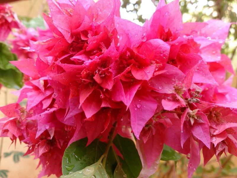 IMG-20150226-WA0020.jpg Hosting at Sudaneseonline.com