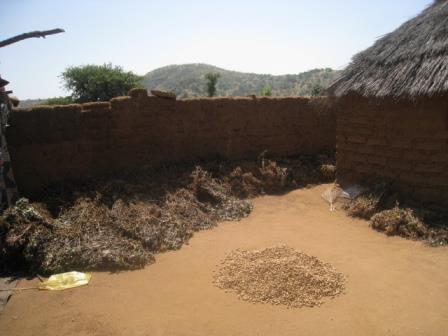 IMG_1.JPG Hosting at Sudaneseonline.com