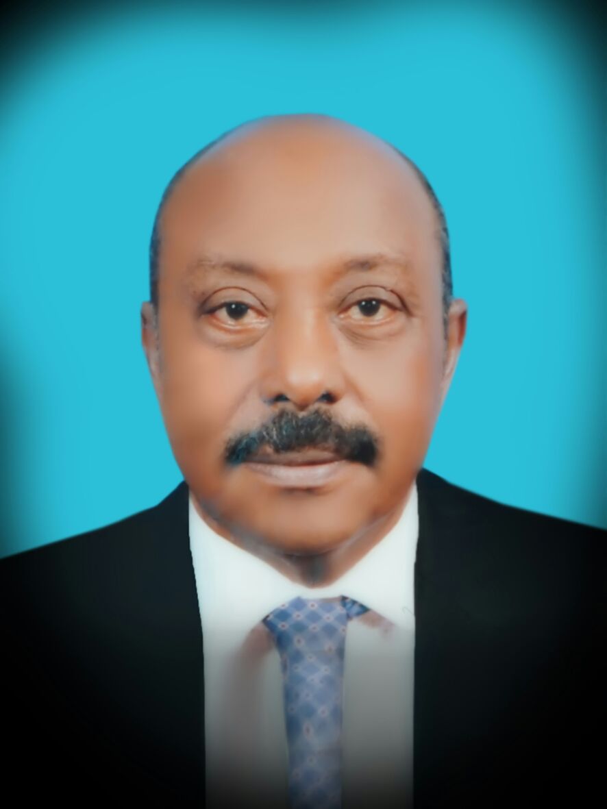 MahmoudAsayed.jpg Hosting at Sudaneseonline.com